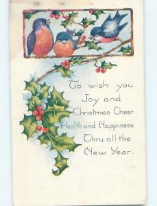 Pre-Linen christmas CUTE BIRDS SITTING IN THE HOLLY hr2809