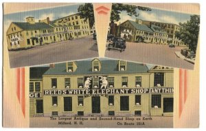 Postcard Reed's White Elephant Shop Milford NH Largest Antique Second Hand Shop