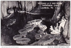 Second Lily Pad Room Onondaga Cave Leasburg Missouri Real Photo