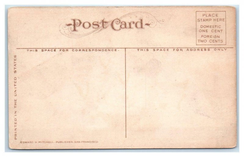 United States WARSHIP ~ SAILORS Playing Cards  c1910s Mitchell  Postcard