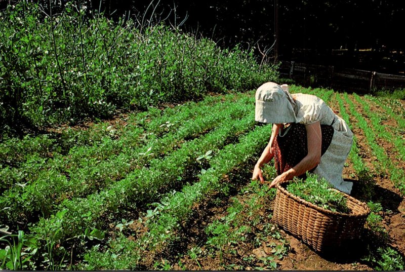 Massachusetts Old Sturbridge Village The Kitchen Garden