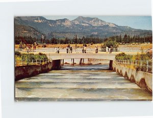 Postcard Fish Ladders At Bonneville Dam