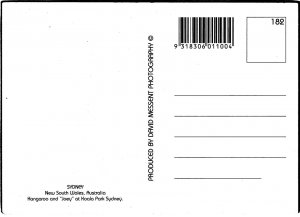 CONTINENTAL SIZE POSTCARD SIGHTS SCENES & CULTURE OF AUSTRALIAN KANGAROO