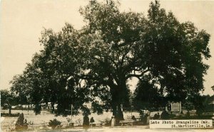 St Martinville Louisiana Late Photo Evangeline Oak C-1910 RPPC Postcard 21-8223