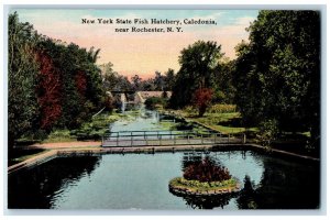 c1910 New York State Fish Hatchery, Caledonia Near Rochester NY Postcard 