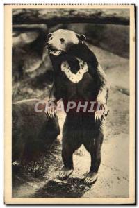 Old Postcard Ours Paris Museum of Natural & # 39Histoire Zoo, Bois de Vincenn...