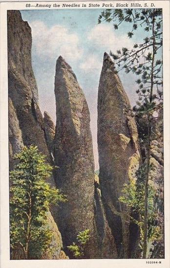 Among The Needles In State Park Black Hills South Dakota 1950