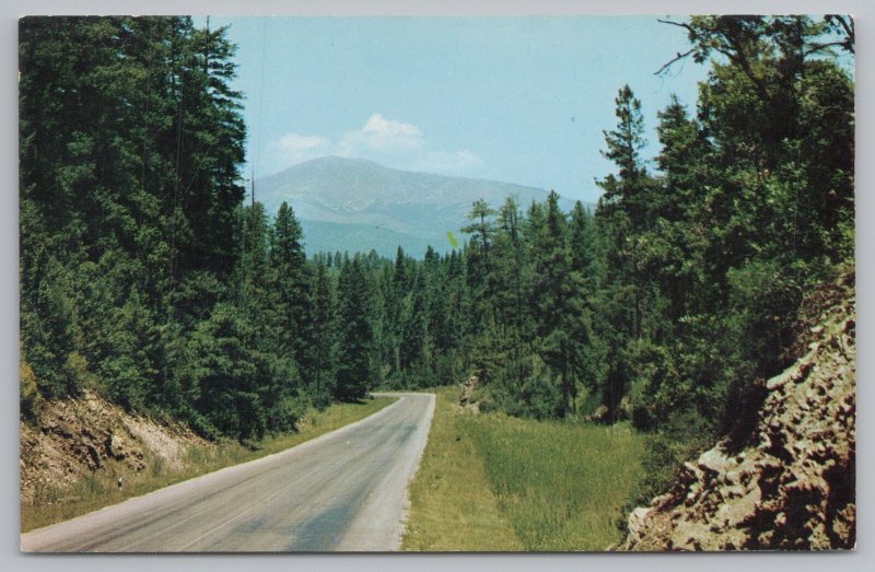 Ruidoso New Mexico~Scenic Hwy US 70~Dark Canyon~Vintage Postcard