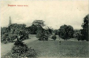 PC CPA SINGAPORE, BOTANICAL GARDEN, VINTAGE POSTCARD (b4306)