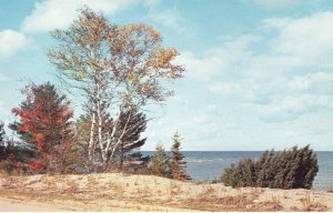 US    PC4619  MICHIGAN'S GREAT LAKES SHORELINE