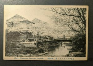 Mint Vintage Cherry Blossoms at Karurusu Nagasaki Park Japan RPPC Postcard