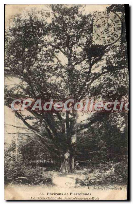 Old Postcard Around Pierrefonds Oak St Gros Jean aux Bois