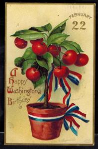 1911 USA postcard Cover Ellen Clapsaddle Washington's Birthday PAtriotic Apples