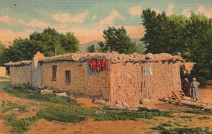 NM-New Mexico, Unusual Native House New Mexican Jacals Mud Hats Old Postcard