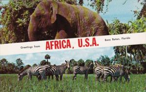 Florida Boca Raton Greetings From Africa U S A Showing Elephant and Zebras