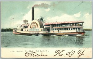 RED BANK NJ STEAMER SEA BIRD 1909 UNDIVIDED ANTIQUE POSTCARD