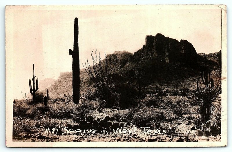 VTG Postcard RPPC Real Photo Desert Scene West Texas TX Cactus Range Valley A9