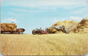 Western Canada Threshing Scene Tractor Horses Agriculture Unused Postcard H56