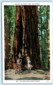 SEQUOIA NATIONAL PARK, California  CA   THE ROOM TREE  1933    Postcard