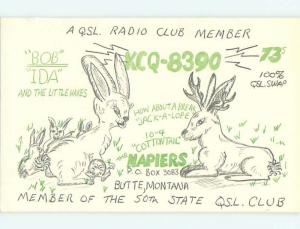 bunny rabbit - QSL CB HAM RADIO CARD Butte Montana MT t9067