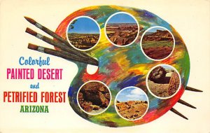 Colorful Painted Desert  And Petrified Forest View Postcard Backing 