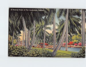 Postcard A Tropical Scene at Fort Lauderdale Florida