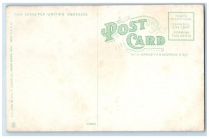 c1910's Steamship City Of Grand Rapids Graham And Morton Line Unposted Postcard