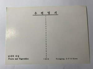 UNUSED POSTCARD - FRUITS AND VEGETABLES PYONGYANG DPR KOREA NORTH (KK339) 