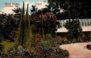 California Pasadena Beautiful Flower Garden