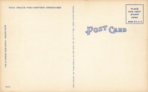 Skowhegan ME Midway Fairgrounds Ferris Wheel Postcard