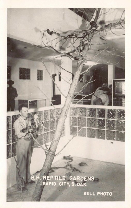 Real Photo Postcard B.H. Reptile Gardens in Rapid City, South Dakota~130497