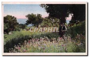 Corsica - Corsica - Ile Rousse - The Campaign - Old Postcard