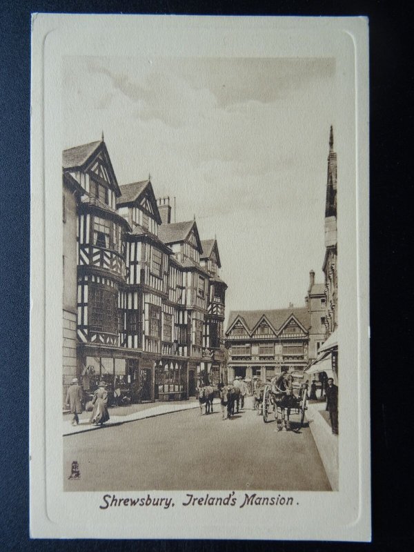 Shropshire SHREWSBURY Collection of 4 c1910 Postcard by Raphael Tuck 2482