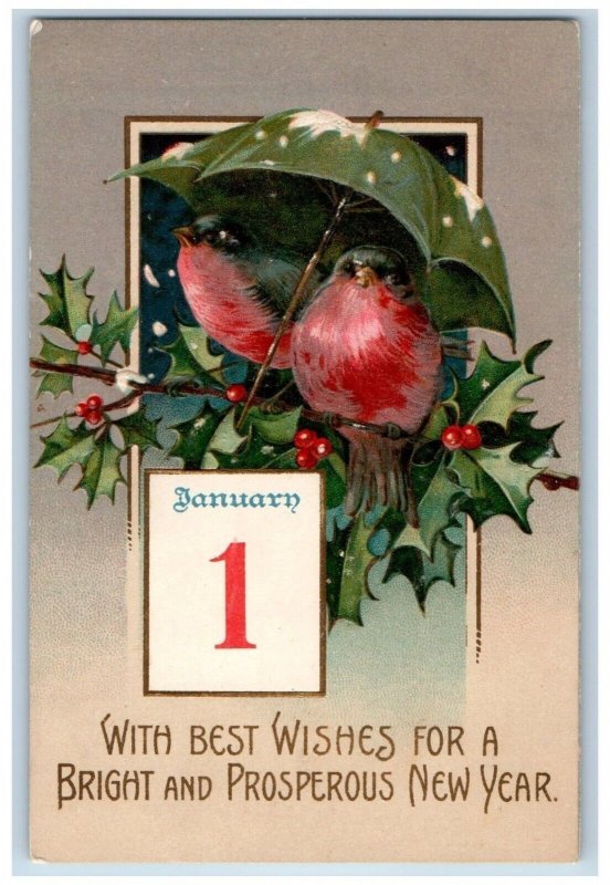 New Year Postcard Calendar Song Birds Holly Berries Clapsaddle Embossed c1910's