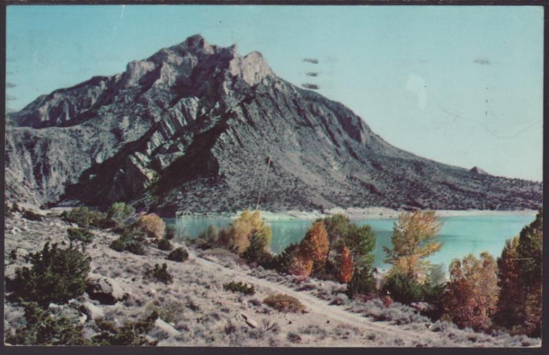 Cedar Mountain,Yellowstone Postcard BIN