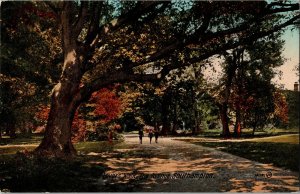 Lovers Walk Avenue Southampton Divided Back Postcard Antique Valentines Series