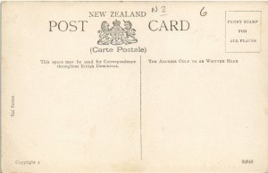 PC NEW ZEALAND, CHRISTCHURCH, VICTORIA ST BRIDGE, Vintage Postcard (B41429)