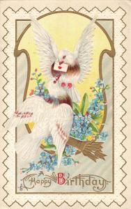 BR74002 bird with letter embossed   birthday pigeon