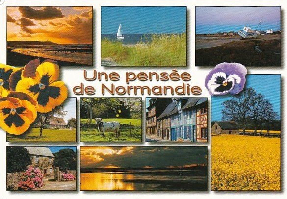 France Une Pensee de Normandie Multi View