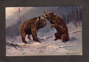 Painting Bears Animals M Muller Artist Signed Postcard Postkarte Carte Postale