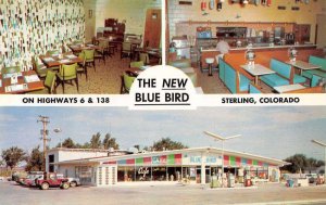 Sterling Colorado The New Blue Bird Cafe Vintage Postcard AA44797
