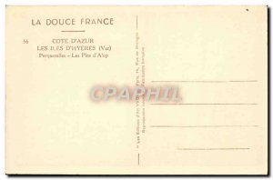 Old Postcard The Islands D & # 39Hyeres Porquerolles Les Pins d & # 39Alep