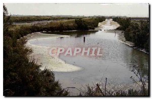 Postcard Modern Ars en Re Charente Maritime Les Salines