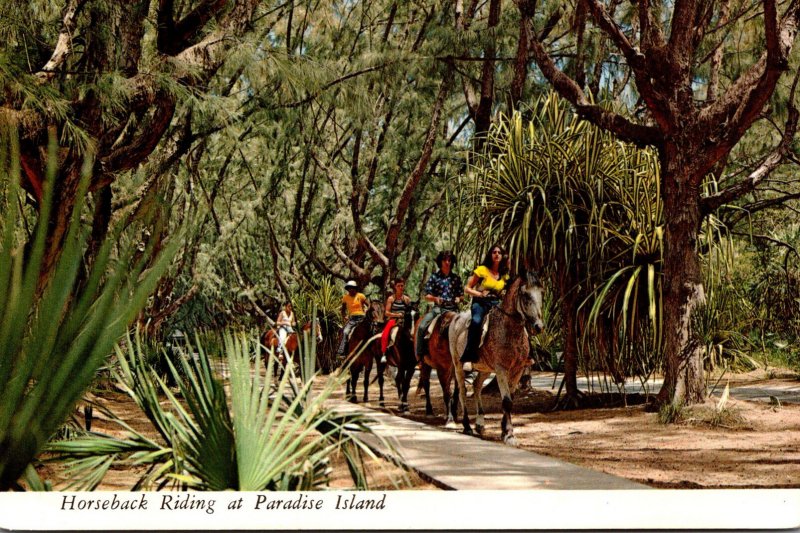 Bahamas Nassau Horseback Riding At Paradise Island