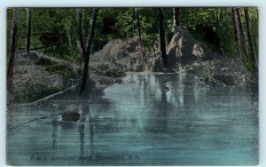 FARMINGTON, New Hampshire NH ~ Handcolored POKE O' MOONSHINE BROOK 1910 Postcard