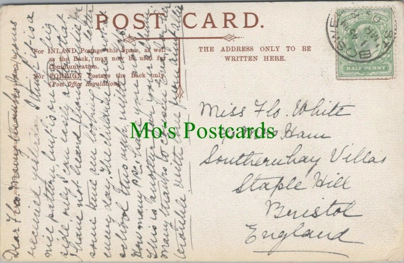 Genealogy Postcard - White / Ham - Southernhay Villas,Staple Hill,Bristol RF7767