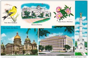 Iowa State Flag State Bird Goldfinch State Flower Wild Rose & More
