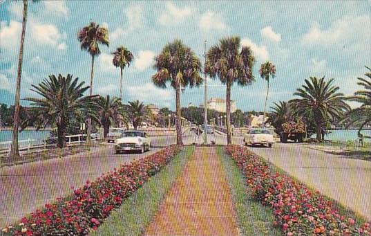 Florida Clearwater Scene From Est End Of Memorial Causeway