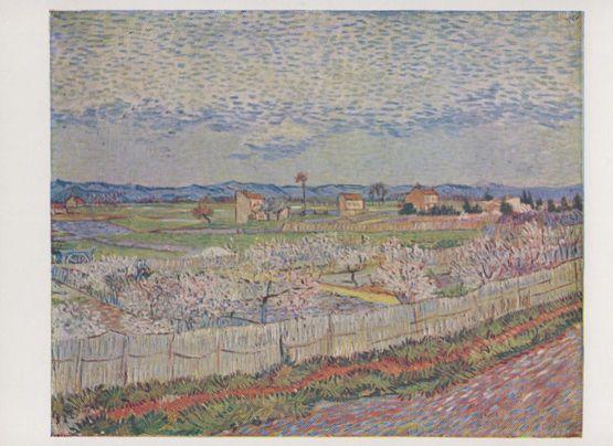 Van Gogh The Orchard Courtauld Collection Pallas Art Gallery Painting Postcard