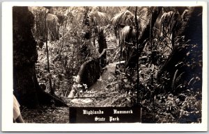 Highlands Hammock State Park Florida Wooden Bridge Real Photo RPPC Postcard